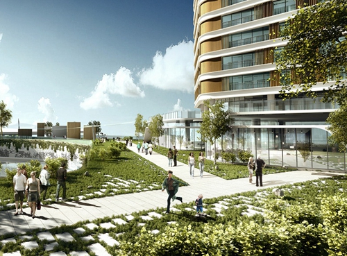 本命年兔年寺庙求什么好